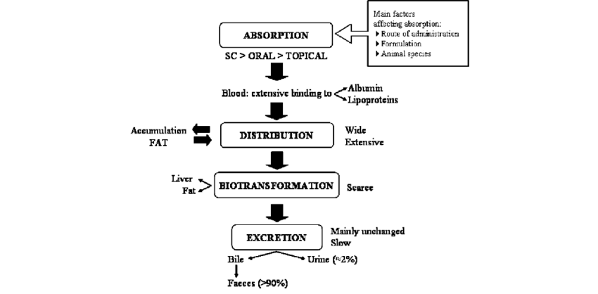 ❞ كتاب Comparative pharmacokinetics of ivermectin after its subcutaneous administration in healthy sheep and sheep infected with mange ❝ 