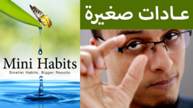 مختصر كتاب عادات صغيرة Mini Habits 