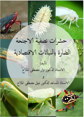 ❞ كتاب حشرات نصفية الأجنحة الضارة بالنباتات الاقتصادية ❝  ⏤ مجموعة من المؤلفين