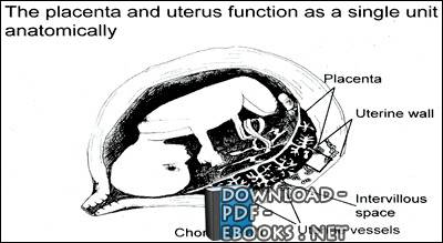 Obstetrics Kasr ِAl-Ainy department book fertilization implantation
