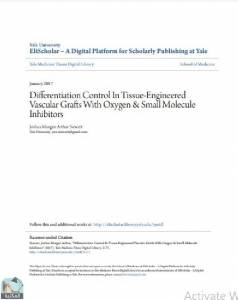 Differentiation Control In Tissue-Engineered Vascular Grafts With Oxygen & Small Molecule Inhibitors 