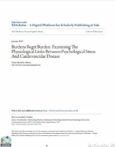 Burdens Beget Burden: Examining The Physiological Links Between Psychological Stress And Cardiovascular Disease 